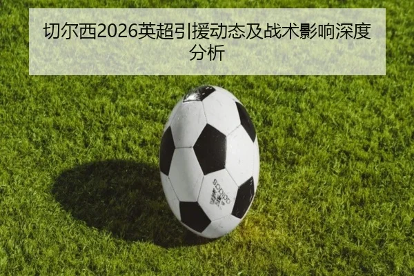 切尔西2026英超引援动态及战术影响深度分析